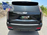 2021 Escalade Thumbnail 5