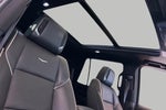 2021 Escalade Thumbnail 19