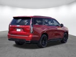 2024 Escalade Thumbnail 4