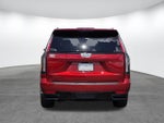 2024 Escalade Thumbnail 5