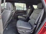 2024 Escalade Thumbnail 20