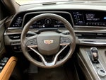 2021 Escalade Thumbnail 6