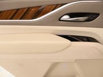 2021 Escalade Thumbnail 19