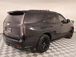 2021 Escalade Thumbnail 23