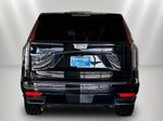 2023 Escalade Thumbnail 2