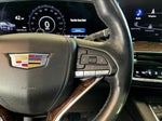 2023 Escalade Thumbnail 17