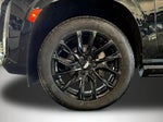 2023 Escalade Thumbnail 25