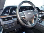 2023 Escalade Thumbnail 19