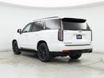 2023 Escalade Thumbnail 2