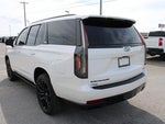 2024 Escalade Thumbnail 10