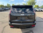 2022 Escalade Thumbnail 9