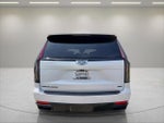 2023 Escalade Thumbnail 6
