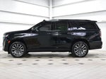 2024 Escalade Thumbnail 4
