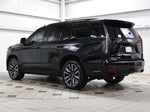 2024 Escalade Thumbnail 6