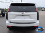 2023 Escalade Thumbnail 4
