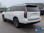 2023 Escalade Thumbnail 5