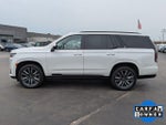 2023 Escalade Thumbnail 6
