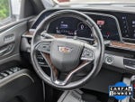 2023 Escalade Thumbnail 19