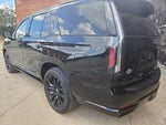 2023 Escalade Thumbnail 5