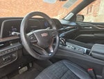 2023 Escalade Thumbnail 8