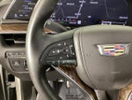 2023 Escalade Thumbnail 21