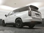 2021 Escalade Thumbnail 28