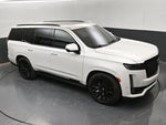2021 Escalade Thumbnail 31