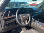 2023 Escalade Thumbnail 14