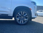 2023 Escalade Thumbnail 28