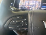 2023 Escalade Thumbnail 14