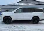 2023 Escalade Thumbnail 3