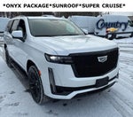 2023 Escalade Thumbnail 25