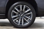 2023 Escalade Thumbnail 26