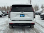2024 Escalade Thumbnail 10