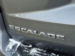 2022 Escalade Thumbnail 22