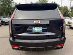 2023 Escalade Thumbnail 8