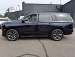 2023 Escalade Thumbnail 12