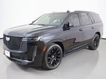 2023 Escalade Thumbnail 15