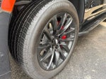 2023 Escalade Thumbnail 6