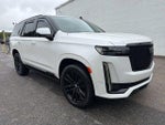 2022 Escalade Thumbnail 8