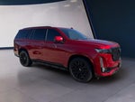 2022 Escalade Thumbnail 7
