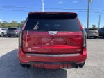 2023 Escalade-V Thumbnail 3