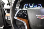2019 Escalade ESV Thumbnail 12