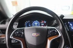 2019 Escalade ESV Thumbnail 19