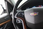 2019 Escalade ESV Thumbnail 21