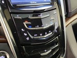 2020 Escalade ESV Thumbnail 16