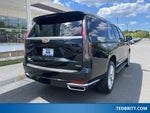 2021 Escalade ESV Thumbnail 14