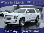 2016 Escalade ESV Thumbnail 1