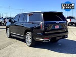 2024 Escalade ESV Thumbnail 10