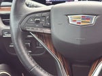 2024 Escalade ESV Thumbnail 15